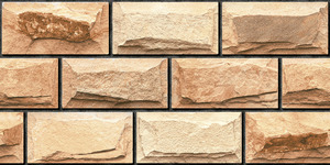 Carreaux muraux Premium Choice de qualité supérieure, carreaux d'élévation Asia Tiles 300x600mm pour grandes villas de luxe. - Product Image 4