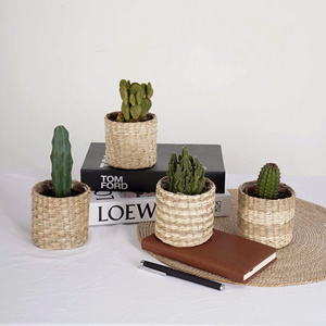Small Plant Holder Colorful Blue Yellow Green Pot <b>Planter</b> Covers <b>for</b> Cactus Succulent Plants - Product Image 4