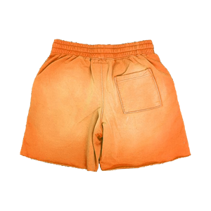 Pakistan-Made Comfortable Customized Drawstring Waist Gym Shorts <b>Top</b> Selling Casual OEM Service Durable Fitness Clothing Stock - Product Image 2