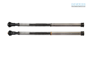 Système d'amortissement de fourche avant GEARS pour SUZUKI GSR750 (11~16) Fourche inversée double avec gaine interne (FFC-250-TT) - Product Image 5