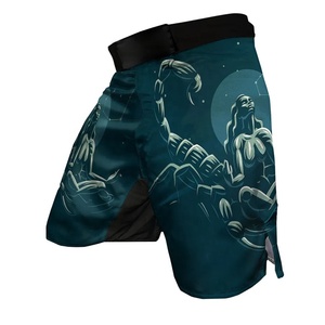 Ropa Deportiva al por Mayor con MOQ Bajo, Pantalones Cortos de Kickboxing y BJJ Elásticos, Transpirables y Ligeros, con Estampado Gráfico Único para MMA - Product Image 3
