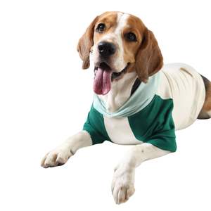 Sudadera con capucha para perro, ropa para mascotas, para todas las estaciones, suave, cómoda, lavable, de algodón, con 2 patas, sudaderas a juego para perros, sudaderas para perros felices, sudaderas de invierno para perros - Product Image 2