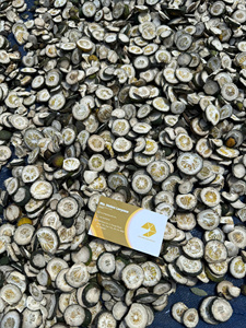 เปลือกส้มอบแห้งพรีเมียมสำหรับตกแต่งเครื่องดื่ม ชา ขนมอบ อาหาร ปรุงอาหาร เปลือกส้มอบแห้งธรรมชาติ ขายส่งจำนวนมาก - Product Image 5