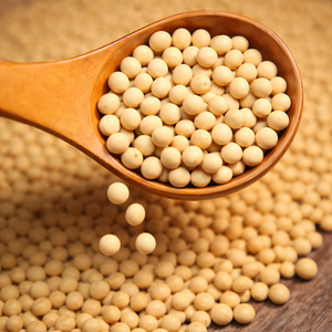 PREMIUM <b>SOYBEANS</b> | VIETNAM ORIGIN | EXPORT GRADE/ MS. ALINA - Product Image 3