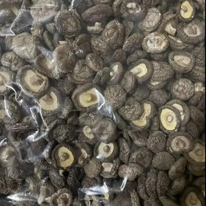 Hongos Shiitake Crudos/ Hongos Secos de Vietnam Sra. Lily - Product Image 1