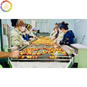 Lychees surgelés de haute qualité IQF sans sucre ajouté, fruits tropicaux naturels, emballage sous vide, ingrédient alimentaire en vrac, fournisseur en gros - Product Image 2