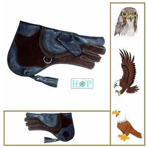 Gant de fauconnerie en cuir véritable robuste pour homme – Protège-bras extra long pour la manipulation des faucons, des houkats et des aigles - Product Image 1