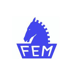 FEM S.R.L. logo