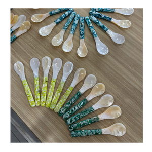 Cuchara de Nácar Natural Hecha a Mano, Cuchara Decorativa de Concha para Postre, Café, Helado - Product Image 1