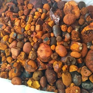 Polvo de cálculos biliares de bovino de alta calidad, cálculos biliares de ganado solubles en agua, 3 años de vida útil, empaque a granel para venta al por mayor - Product Image 6