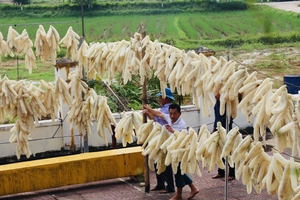 Éponge de Luffa Naturelle Biologique Entière 20-25cm, Cultivée au Vietnam, Design Simple, Emballage Biodégradable, Utilisation Corporelle - Product Image 6