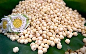 เมล็ดบัวลวกและเมล็ดสำหรับทำอาหาร - Product Image 5