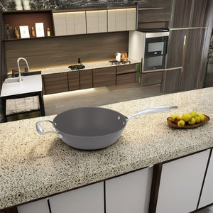 Sartén Antiadherente de Hierro Fundido Serie Nitrile de 24 cm para Cocinar en Casa, Saltear y Asar - Product Image 1