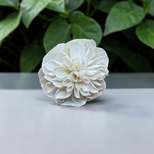 Flores de Madera Sola VADEE, Hechas a Mano, Sostenibles, Clásicas, Color Marfil, Dalia, 8.5 CM, Varilla de Fibra de Planta de Sesbania, Tailandia - Product Image 1