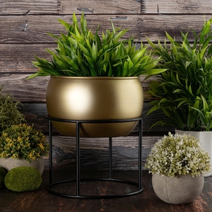 Pot de fleurs moderne en métal plaqué or avec support noir pour plantes vertes d'intérieur, porte-plantes décoratif - Product Image 6