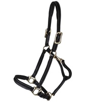 Harnais en cuir anglais artisanal de qualité supérieure - Réglable, durable, rembourré et confortable, élégant pour l'entraînement et l'usage quotidien