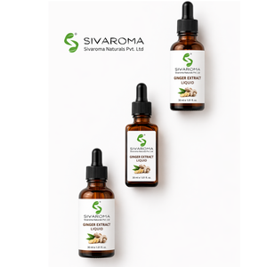 Extracto Líquido de Jengibre de Alta Calidad para la Industria Manufacturera, Ideal para Formulaciones Alimentarias, Aplicaciones Culinarias y a Granel - Product Image 1