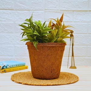 Macetas de Fibra de Coco, Naturales, Ecológicas, Biodegradables y Compostables para Plantas y Flores - Product Image 4