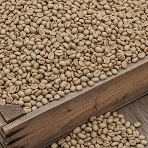 Grains de café Arabica de haute montagne avec une texture élégante et un arôme intense pour les marchés d'exportation en gros - Product Image 6