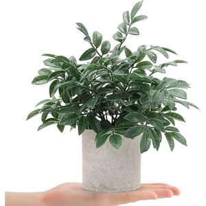 Set di 2 Piante Artificiali in Vaso Grigie, Piccole Piante Finte per Scaffali, Scrivanie, Casa, Fattoria, Tavolini da Caffè - Product Image 2