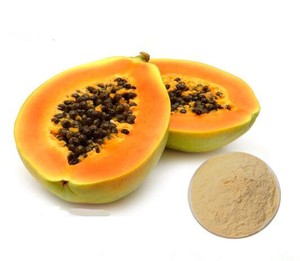 EXPORT STANDARD DRIED PAPAYA FRUIT POWDER - NUTRITIONAL CARICA PAPAYA POWDER WITH ISO HACCP - Product Image 2