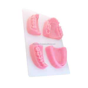Almohadilla de Entrenamiento de Sutura Dental Veterinaria, Modelo Anatómico de Silicona 3D para Práctica, Instrumentos Veterinarios, Proveedor Mayorista - Product Image 3