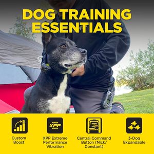 Dogtra 280X Remote <b>Dog</b> Training <b>E</b>-<b>Collar</b> with 1/2 Mile Range, LED Light and 100 Levels Control - Product Image 4