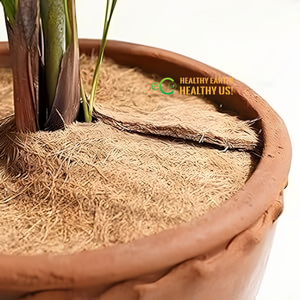 Anneaux de paillis en fibres de coco naturelles pour l'entretien des plantes – Rétention d'humidité, protection du sol et soutien des racines Eco2go Vietnam - Product Image 3