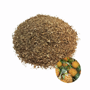 Piel de Piña Seca de Calidad de Exportación, Precio de Fábrica, Hecho en Vietnam, en Venta, Empacada en Bolsas de 5 kg - Product Image 1