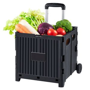 Carrello Pieghevole Portatile con Manico Telescopico, Capacità di Carico 80 Libbre, Carrello Robusto per Uso in Spiaggia - Product Image 3