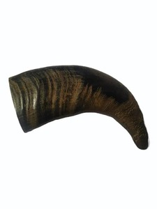 Juguete Masticable Premium de Cuerno de Búfalo Natural para Perros con Cuerda Ecológica Incluida, Duradero, Interactivo, Estilo Animal, para la Salud y el Placer de tu Mascota - Product Image 6
