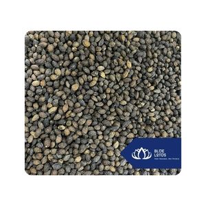 [สินค้าขายดี] เมล็ดมะละกอสำหรับผงเครื่องเทศ โรงงานผลิตอาหาร จัดจำหน่ายเวียดนาม - Product Image 1
