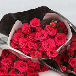 <b>Rose</b> Natural Premium Flower Fresh Fragrant Bloom Elegant Floral Decoration Product Ideal For Weddings Events Home Decor <b>Gifts</b> - Product Image 4
