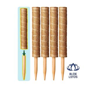 Support de Plantes Robuste en Fibre de Coco Écologique de Haute Qualité - Product Image 1