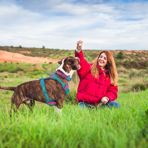 Arnés Resistente para Perros, Diseño en Y, Ajustable, con Doble Anillo en D, Reflectante, Acolchado, para Senderismo, Color Rosa Turquesa - Product Image 5