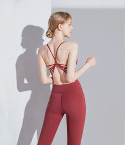 Nouvel ensemble 2 pièces sexy de yoga et sport, soutien-gorge dos croisé et legging taille haute, respirant, couleur unie, logo frontal, sans couture, en nylon/coton - Product Image 1