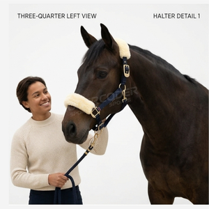 Harnais de cheval en nylon rembourré doux et réglable avec logo personnalisé, design élégant, pour la course d'endurance, avec boucles confortables en alliage de zinc - Product Image 4