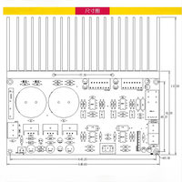 Carte d'amplificateur de puissance audio TDA7293 2x100W stéréo double canal avec préamplificateur NE5534 OP07, module amplificateur de haut-parleur HiFi à servo DC