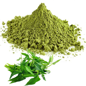 Poudre de feuilles de curry 100% naturelle de qualité alimentaire supérieure, fournisseur en gros pour la cuisine et le soutien nutritionnel quotidien - Product Image 4