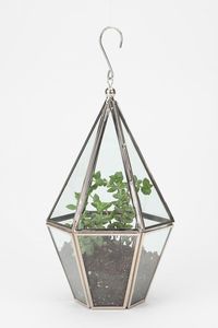 Terrarium de table en verre transparent géométrique en forme de pyramide avec couvercle pour plantes succulentes, plantes aériennes, mousse et fougères, noir - Product Image 3