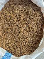 Venta al por mayor de tallos de clavo secos de origen indonesio B2B, especias aromáticas para destilación de aceites esenciales, 24 toneladas MOQ, pago 100% LC