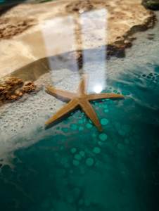 โต๊ะกาแฟทรงกลมขอบไม้ธรรมชาติ ลายคลื่น ทำจากเรซิ่น ทาสีด้วยมือ เป็นมิตรต่อสิ่งแวดล้อม ยี่ห้อ TIMELESS CRAFT พร้อมสีตามสั่ง - Product Image 5