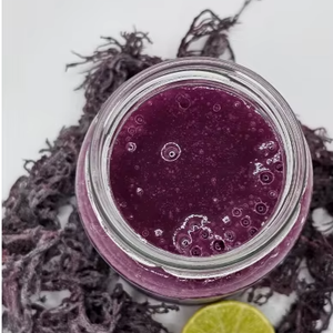 Mousse de mer violette de qualité supérieure – 100 % naturelle et séchée - Product Image 1