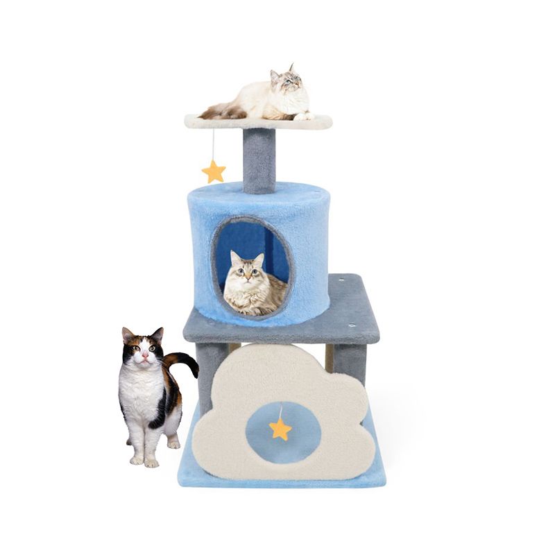 สีฟ้าและสีขาว