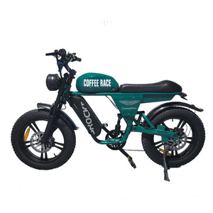 Vélo électrique urbain tout-terrain rétro à vitesse unique, moteur 250W, assistance au pédalage, pneus larges 20 pouces, batterie lithium-ion, électronique - Product Image 2