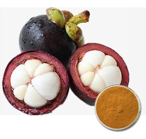 Mangoustan de qualité 1, mangoustan frais commun à vendre en provenance du Vietnam/Mme Laura +84 896 611 913 - Product Image 1