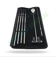 Ensemble d'instruments parodontaux équins, 5 pièces, acier inoxydable, kit d'instruments dentaires vétérinaires autoclavables pour le nettoyage des dents des chevaux