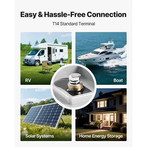 Confezione da 2 Batterie al Piombo-Acido AGM a Ciclo Profondo 12V 35Ah, Sigillate e Ricaricabili, per Scooter - Product Image 6