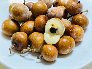 LONGAN CONGELADO 100% LONGAN ORGÁNICO PARA POSTRES Y BEBIDAS | FRUTAS CONGELADAS SALUDABLES AL POR MAYOR DE VIETNAM - Product Image 3