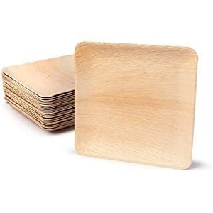Assiettes compostables en feuilles d'arec naturelles pour aliments, forme carrée de 10 pouces, vaisselle pour restaurants et services de restauration, pour fêtes et événements - Product Image 1